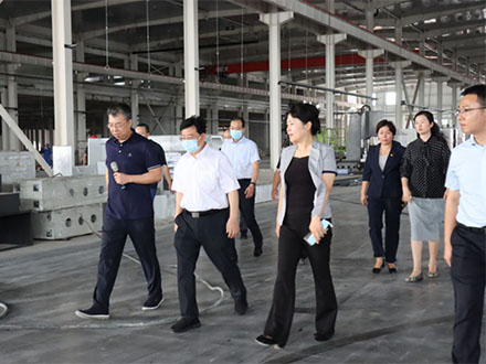 洛阳市长徐衣显一行莅临鸿元轴承新厂项目建设现场考察